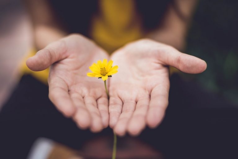 Hands cupping flower